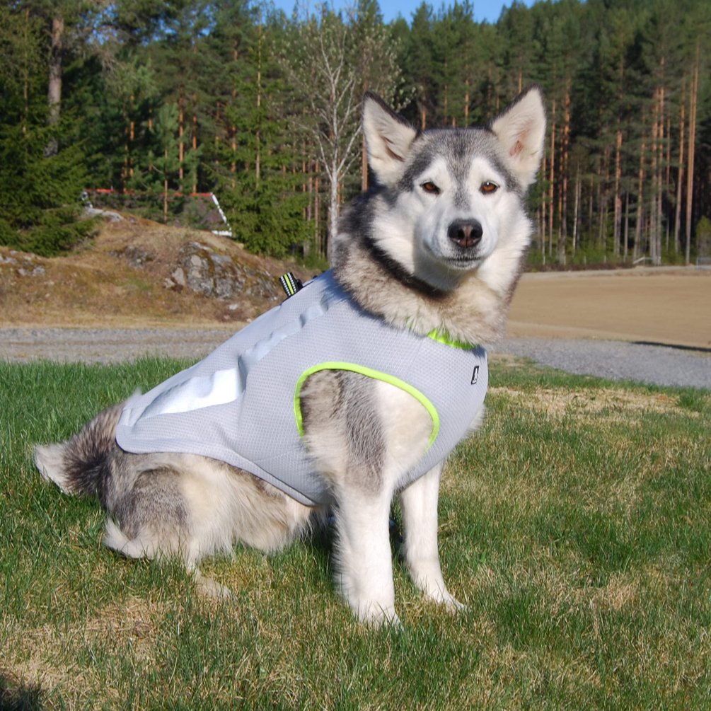 SGODA Dog Cooling Vest Harness Cooler Jacket Grey Orange X-Large