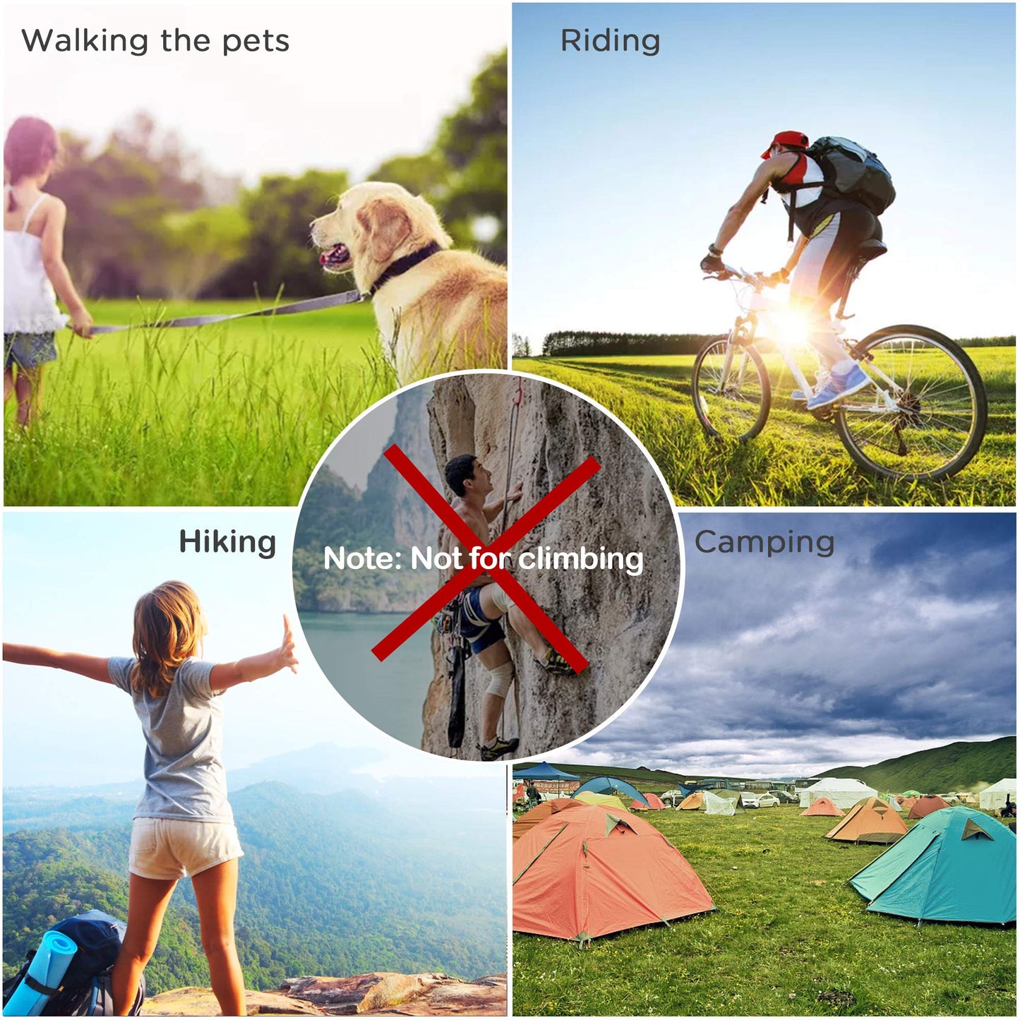 Zalava 6pcs 2โD-Clip Durable Locking Carabiner Keychain Clip with Hook